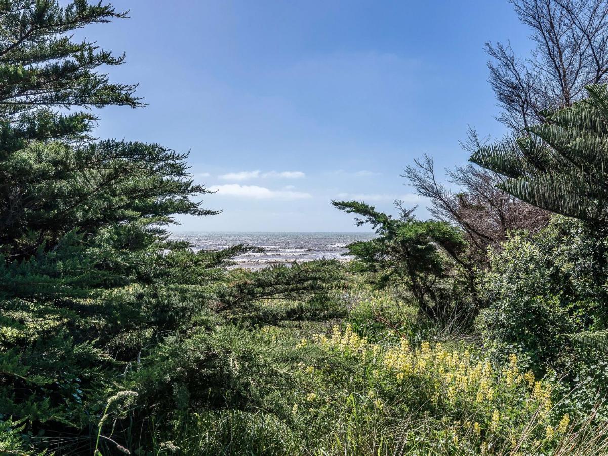 Kapiti At The Coast -